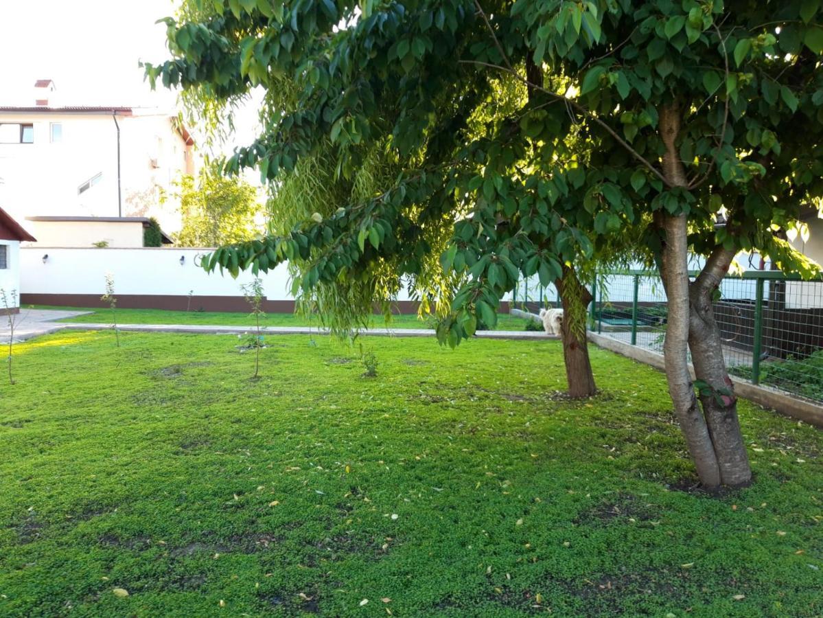 Iarca Cottage Bucharest Exterior photo